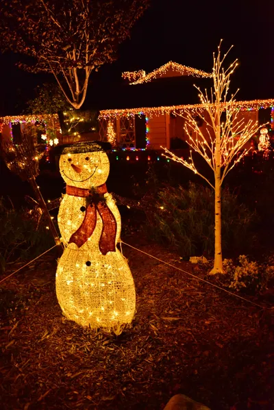 DSC_5768 (Large).JPG